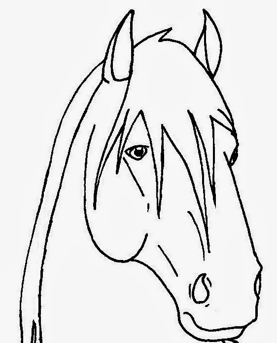 Horse Face Line Drawing : Horse face template