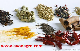 masala spices of India