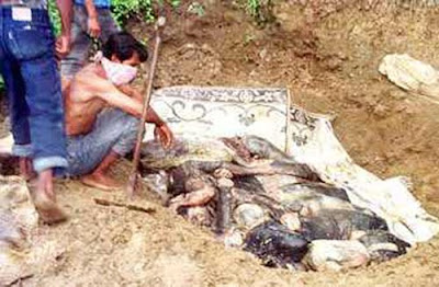 THE ANNOYING MOUSE Korban pembantaian di Aceh pada masa darurat militer