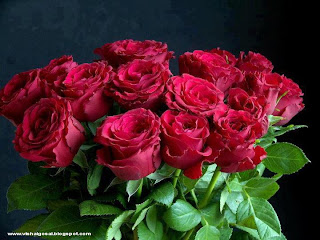 ارجو ان ينال اعجابكم صور ورود رووعة  ارجو ان ينال اعجابكم صور ورود رووعة