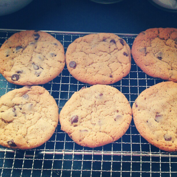 My sugar coated life... {Silent Sunday freshly baked cookies}