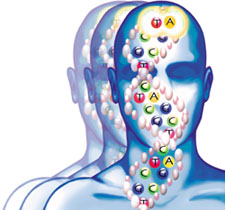 external image hereditariedade.jpg