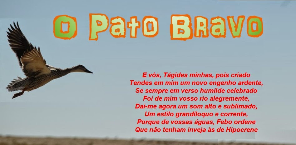 O Pato Bravo