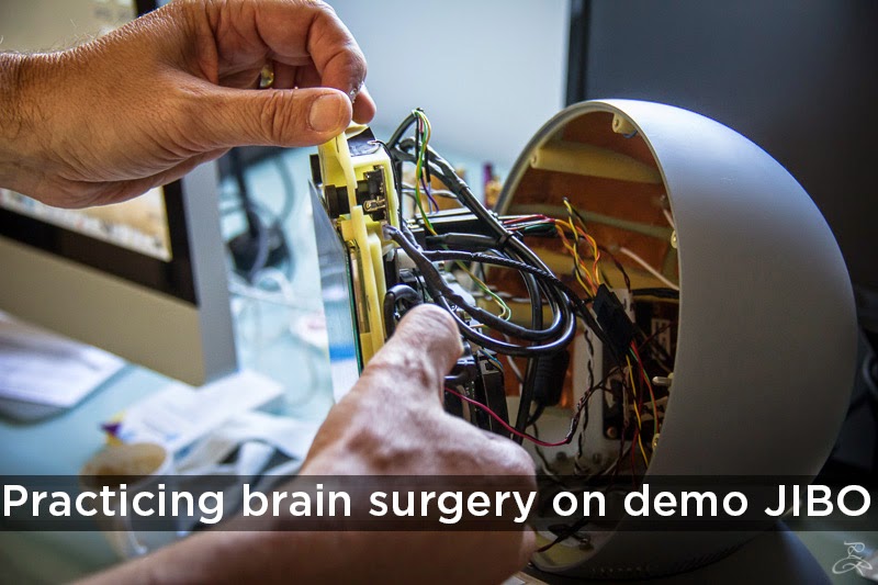 Jibo prototype, brain surgery