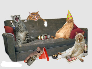 Funny Animals Party