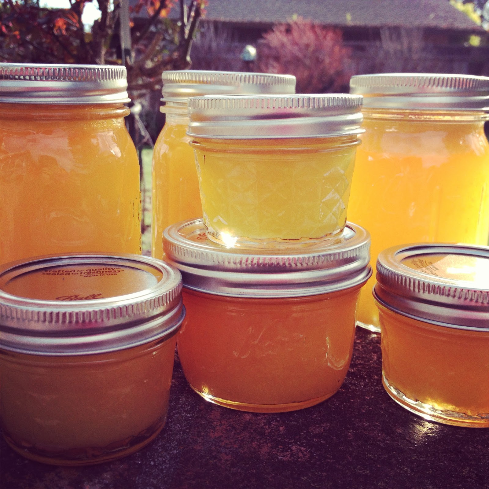 Victory Garden Farm Canning Orange Juice