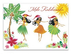 Tropical christmas cards: top choices for holiday wishes with island charm Codified: The Life and Thoughts of Matthew Morse: December 2012