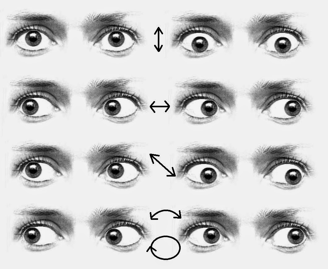 Que rejuvenece las máscaras que aprietan para la persona