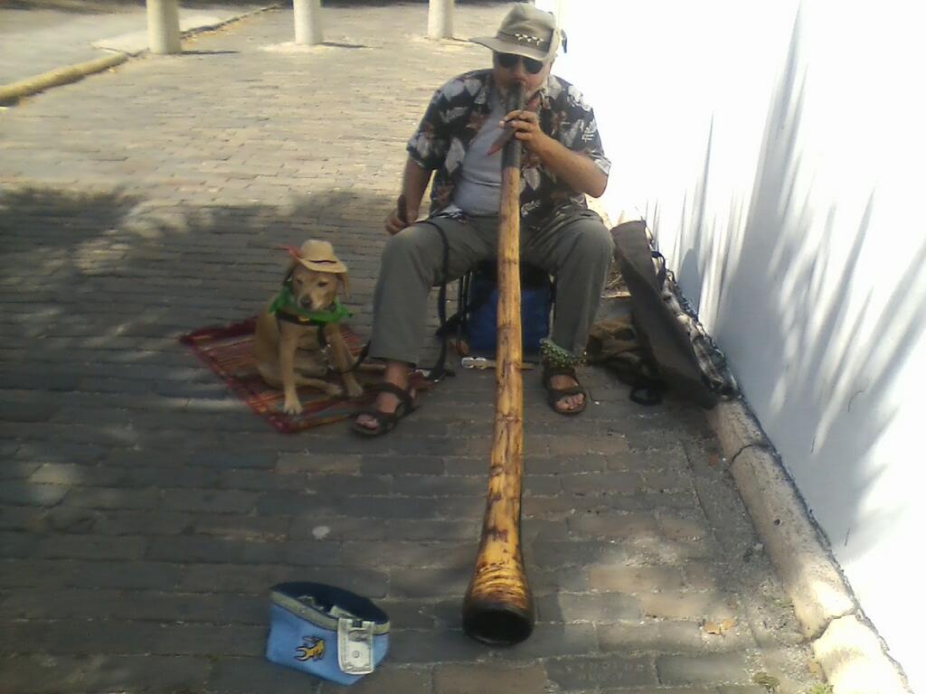 Report from the Florida Zone The Didgeridoo Dog