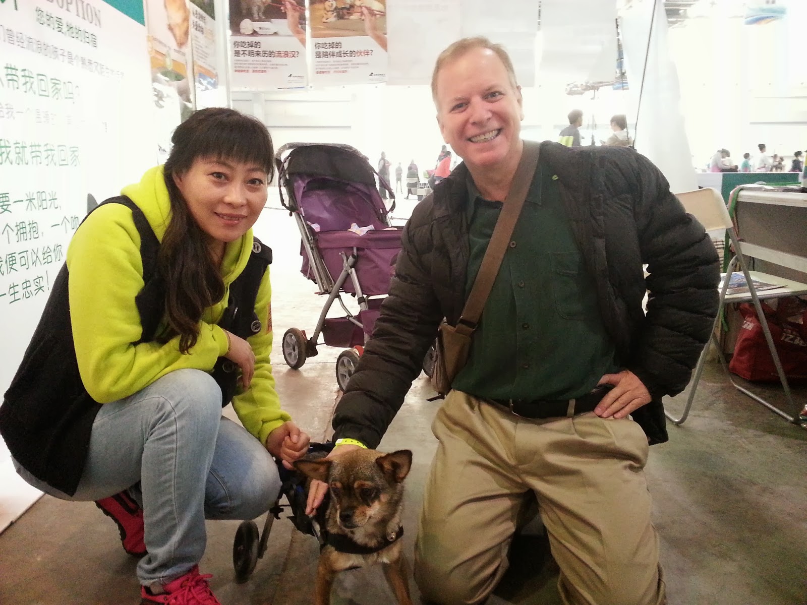 Motorized hot dog cart harness, rental dog wheelchairs australia