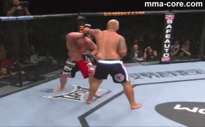 Марк Хант отправляет в нокаут Криса Тахшерера на UFC 127