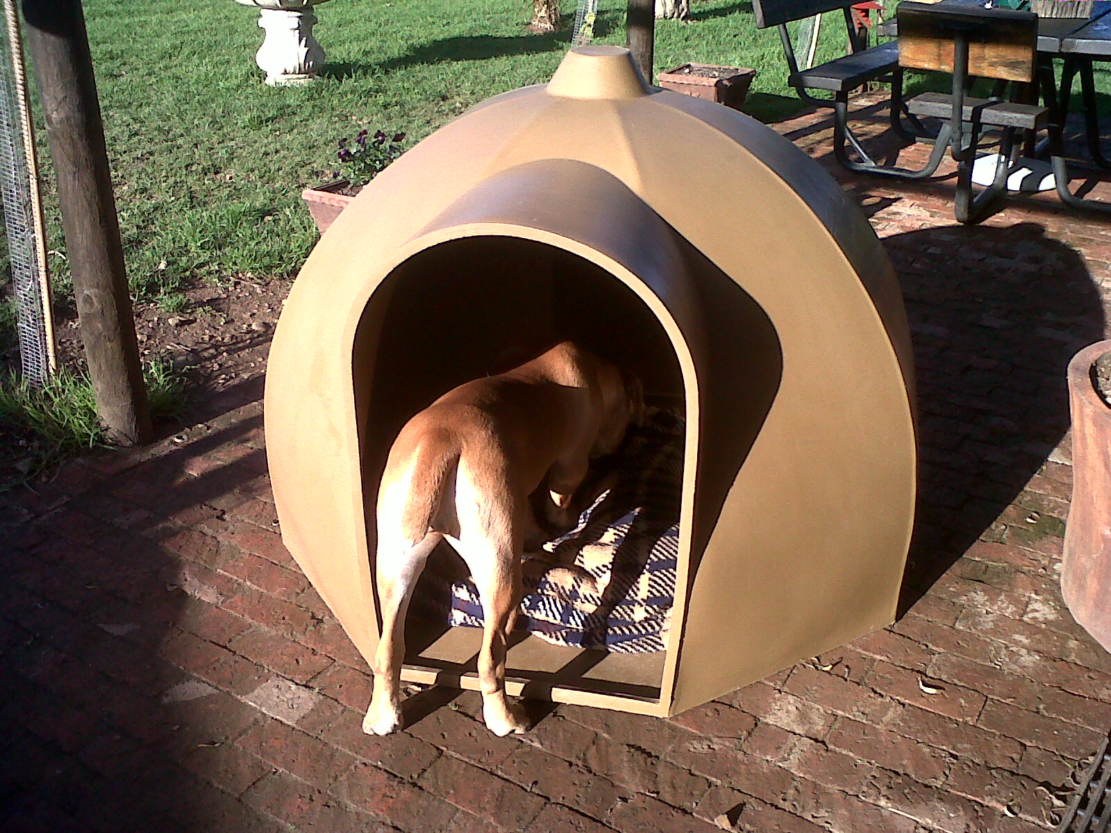 jojo igloo dog kennels