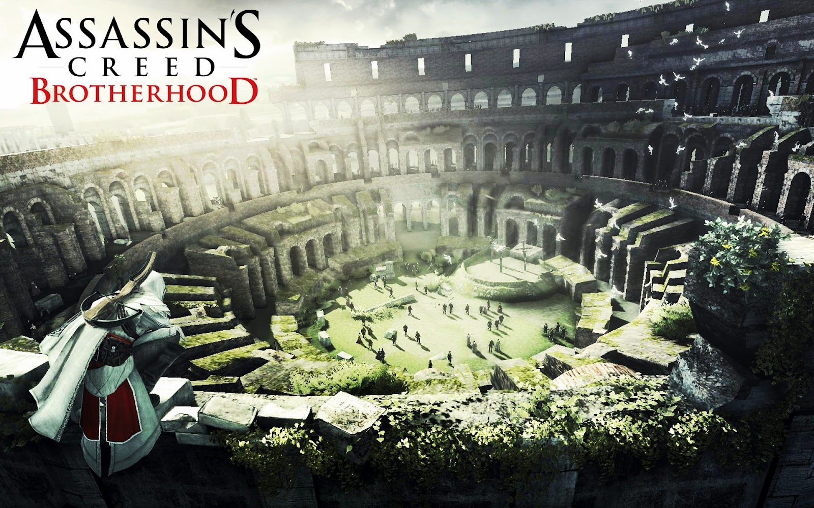 PC Games Assassins Creed Brotherhood PC Free Download and Installation
