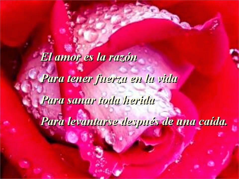 VER IMÁGENES CON FRASES, POEMAS DE AMOR PARA ENAMORAR