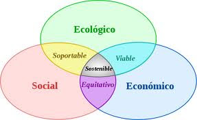 GESTION AMBIENTAL DEFINICION gestion ambiental definicion: