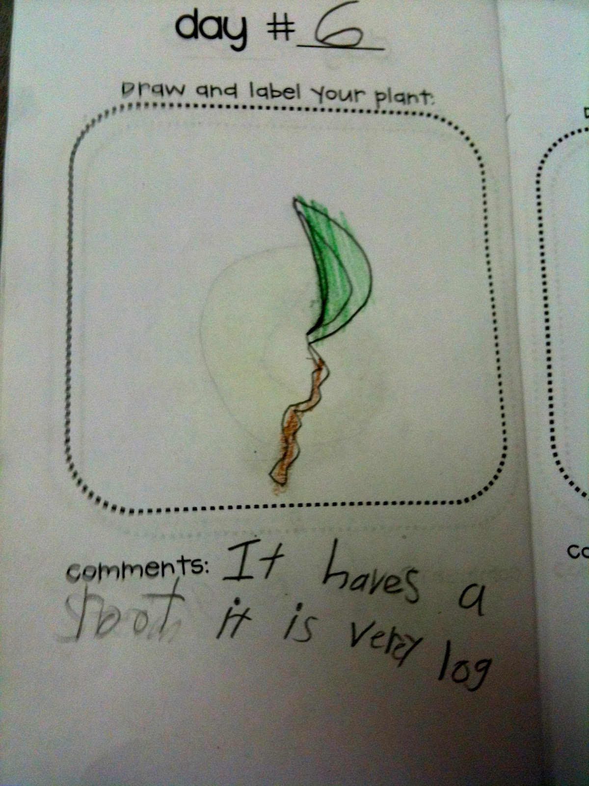 Kindergarten SuperKids More Plants!