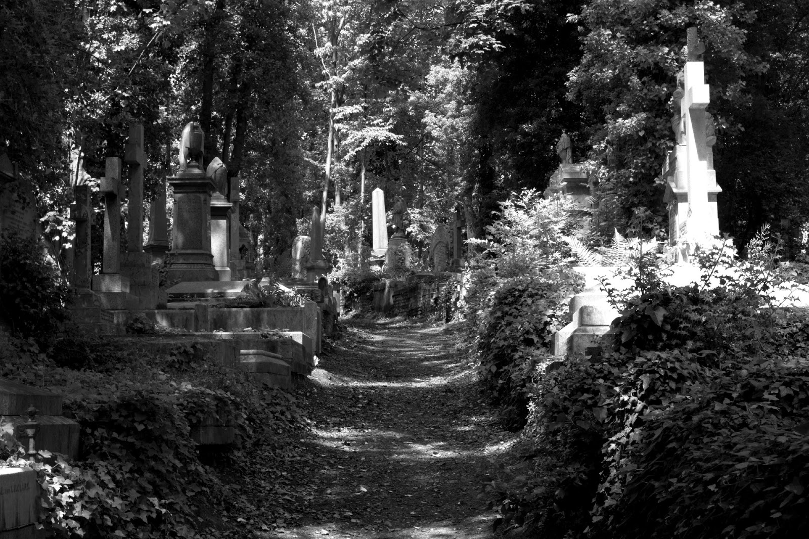 Picaday Highgate Cemetery