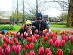 Taman Keukenhof