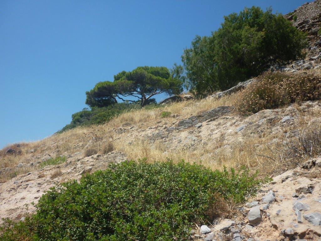 rencontre improbables