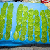 Licuado de Nopal para la Digestión y Bajar de Peso
