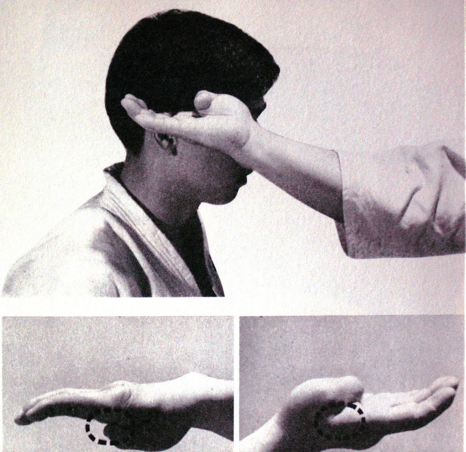 Knife hand strikes Page 3 Sherdog Mixed Martial Arts Forums