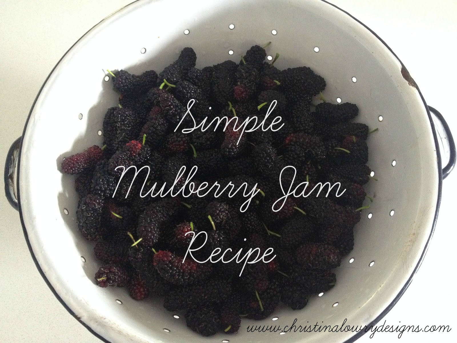 Christina Lowry Designs Mulberry Jam A simple recipe