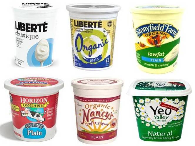 dogs and yogurt ottawa valley whisperer dairy products cheese kefir yogurt are for dogs dogs and yogurt ottawa valley whisperer dairy products cheese kefir yogurt are for dogs