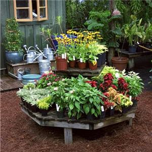 TARA JB'S: Home small potted gardens ideas.