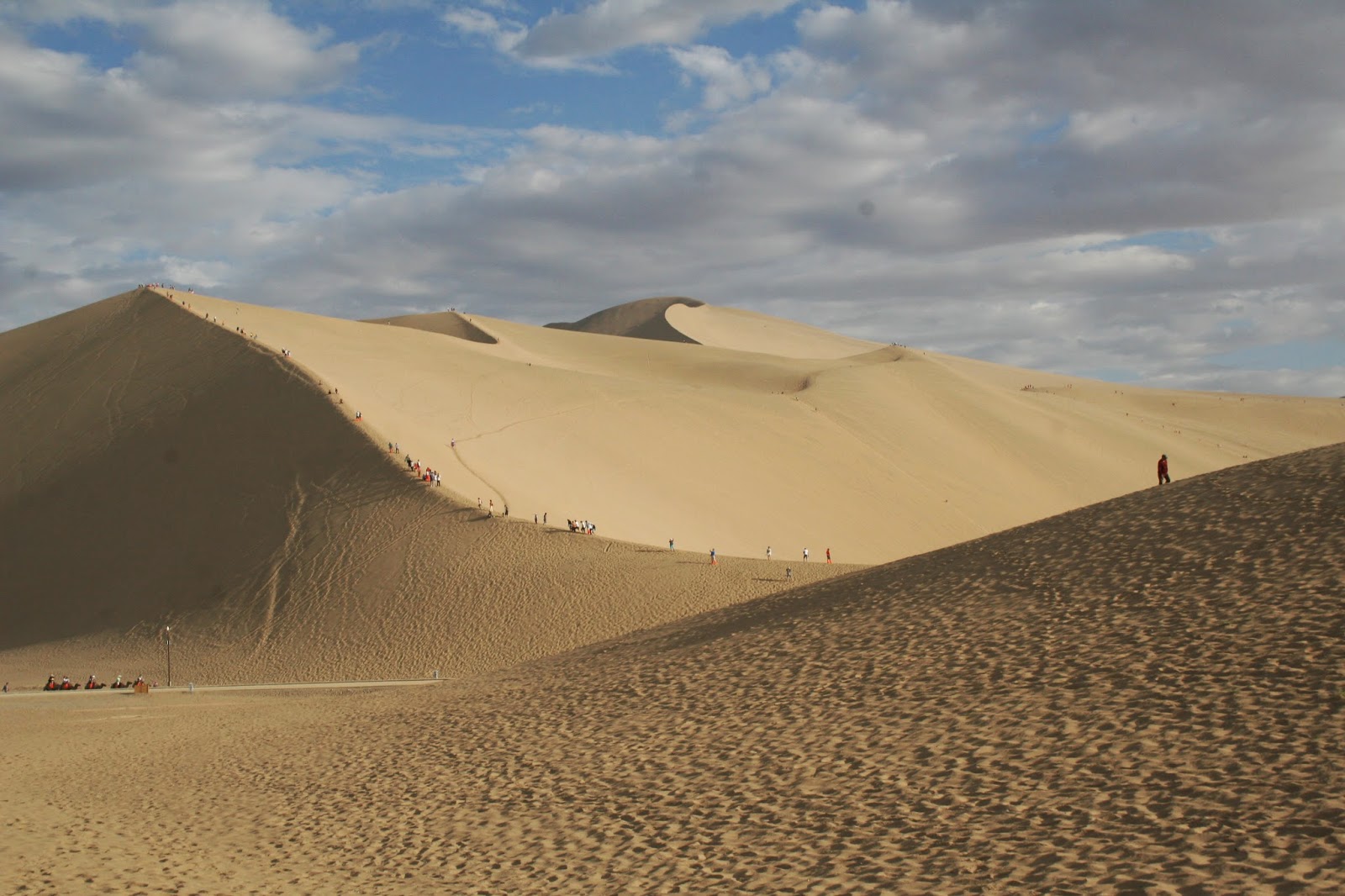 Sand to Dust China's Great Green Wall