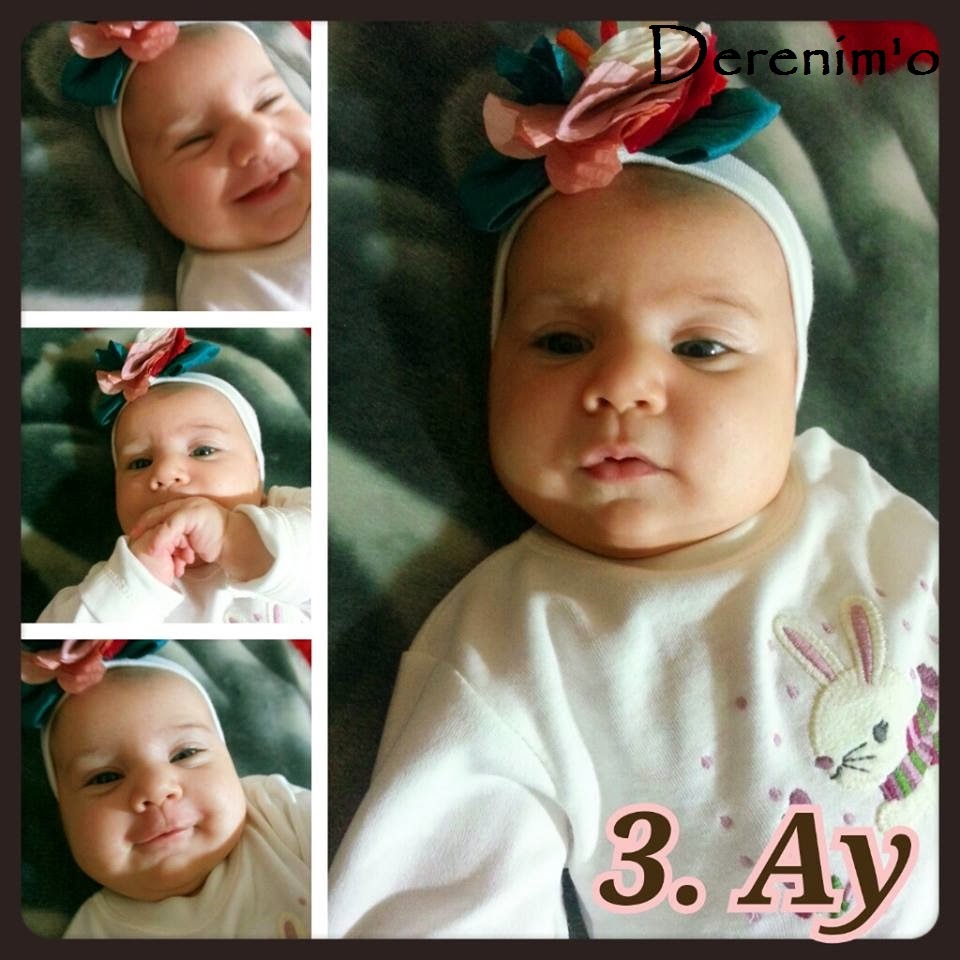 1 Deren 1 Hobi Üç Ay Bitti Defol Kolik&hellip;