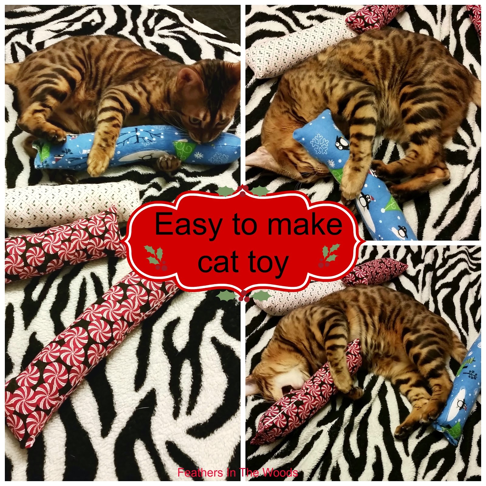 Feathers in the woods Make your own cat toy!