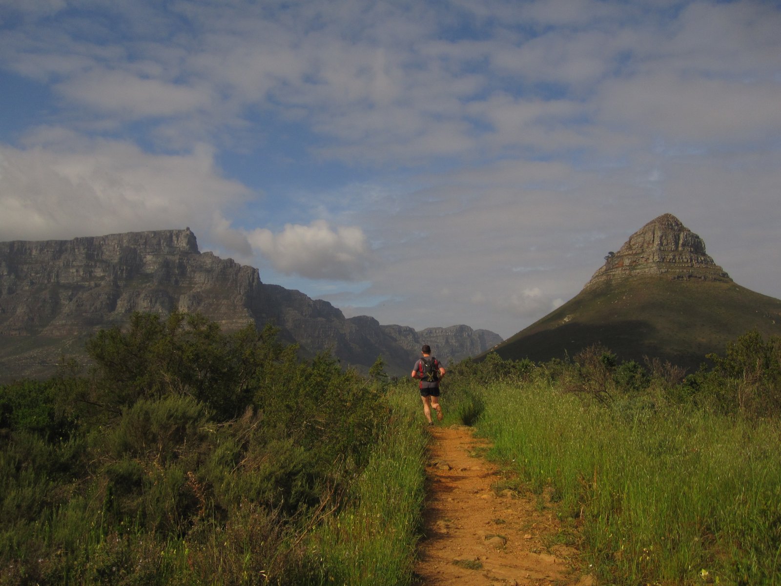 Lion's Head to Signal Hill Trail Run