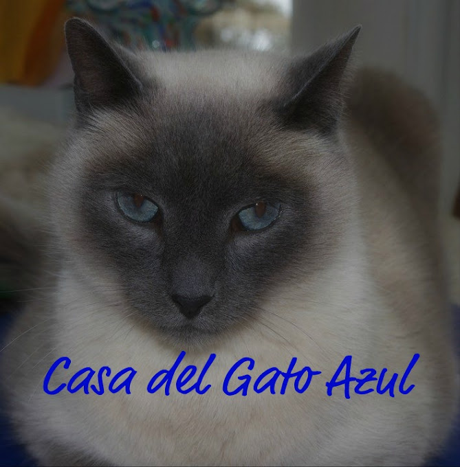 Casa del Gato Azul