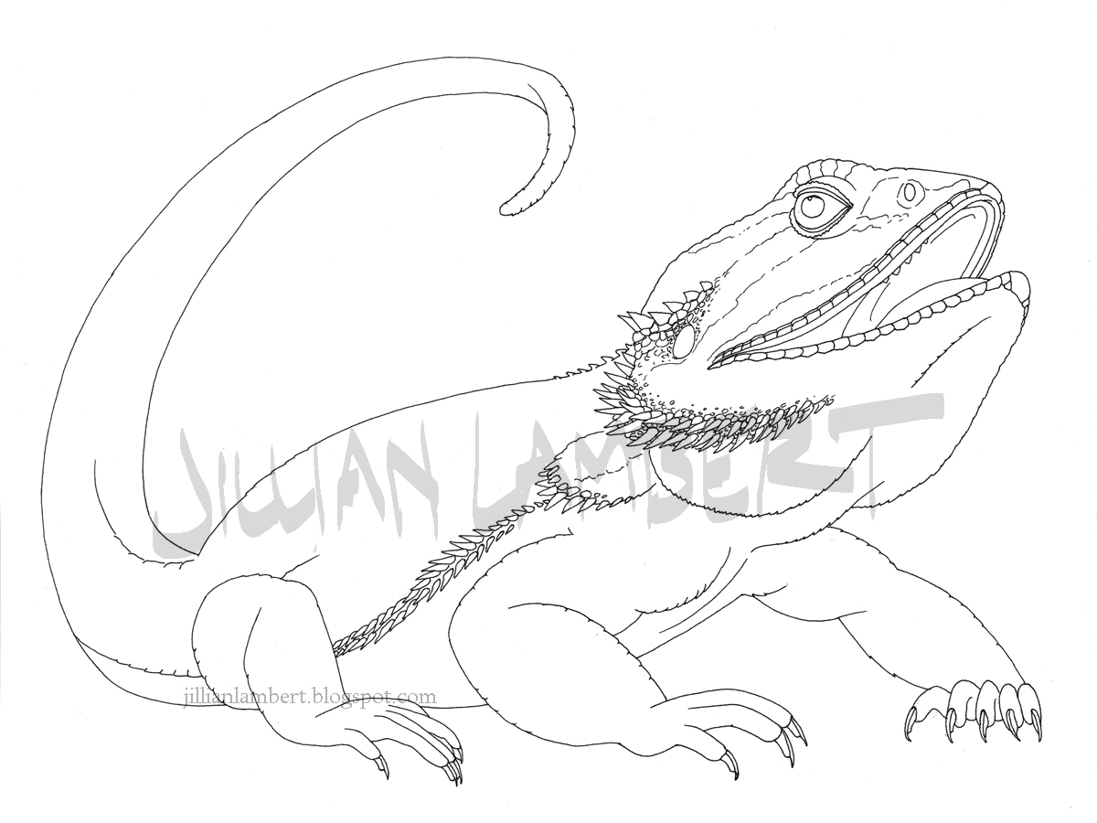 bearded-dragon-paw-print-paint.jpg