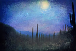 Spirits of Sonoran Desert