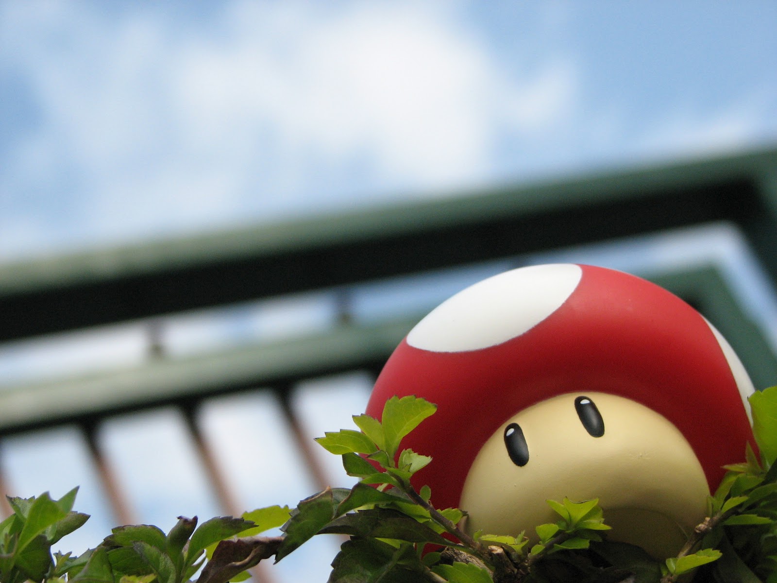 http://4.bp.blogspot.com/-ph87qMxcxmw/T8p3Gca4zEI/AAAAAAAAA4Y/fSesxIjYCG4/s1600/mario+mushroom+3d+red+wallpaper+background.jpg