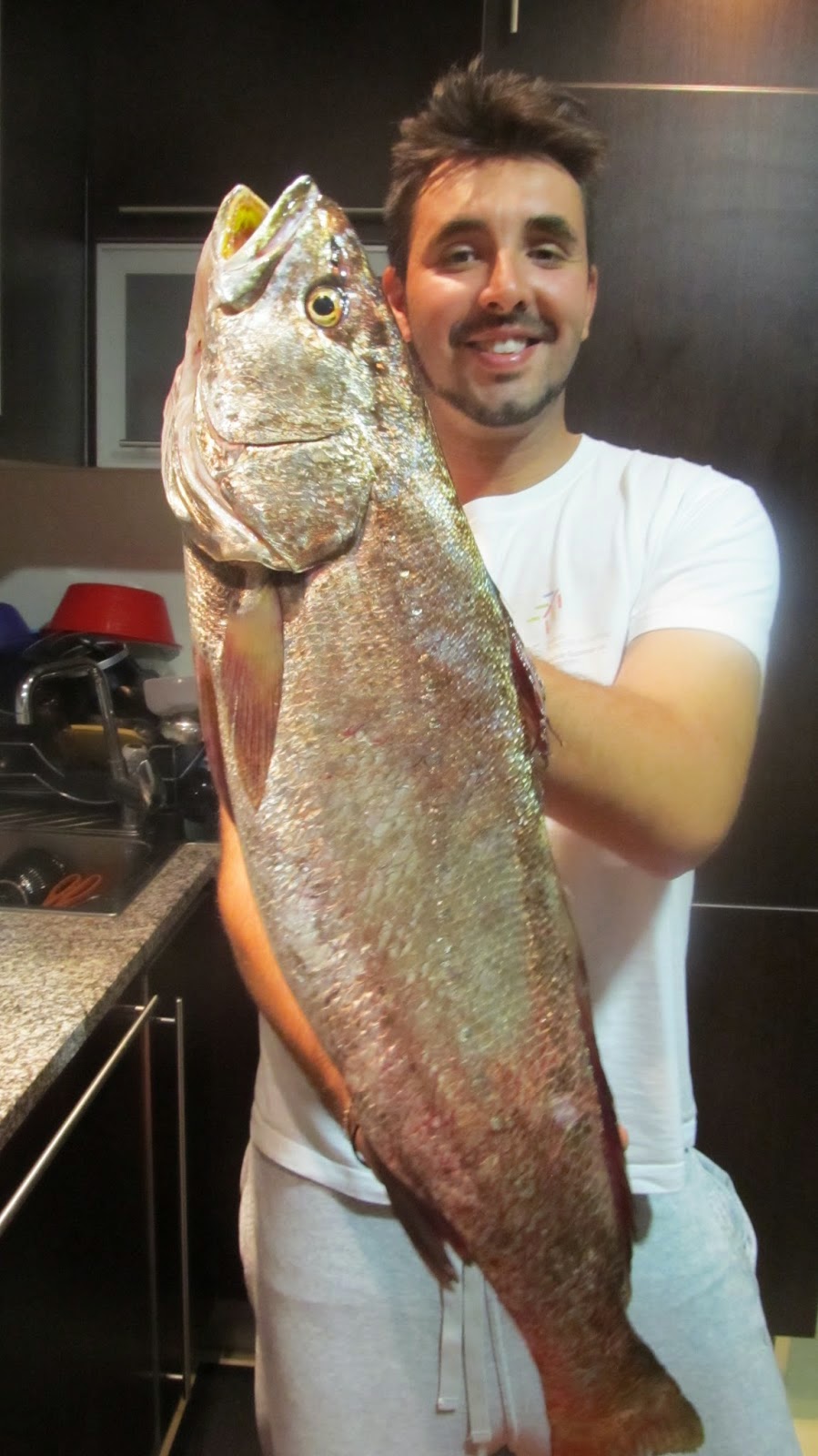 Corvina ao Vinil