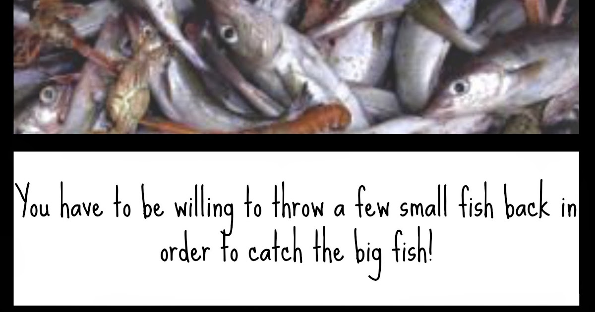 Be Inspired Catch and Release