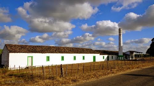 ENGENHO VERDE NASCE