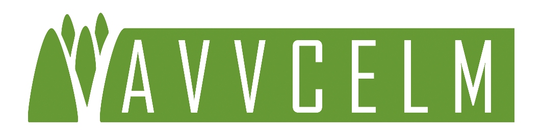 AVVCELM