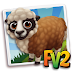 Arapawa Sheep (baby ,adult,prized)
