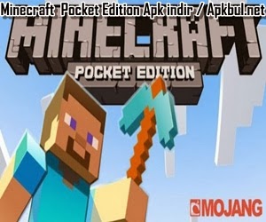  Minecraft  Pocket Edition Apk indir