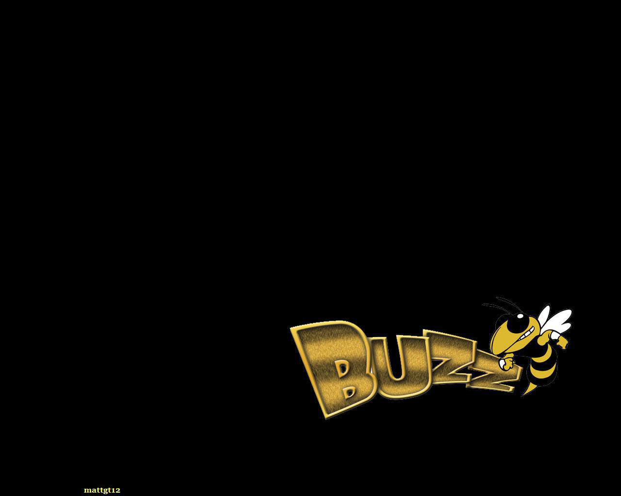 http://4.bp.blogspot.com/-pibO3BdiXg8/Txi5PfaEXXI/AAAAAAAAAjc/JJbHbsU5mYI/s1600/gtbuzz.mattgt12.jpg