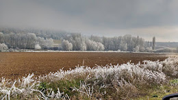 Cencellada, pequeña muestra del invierno en nuestros campos