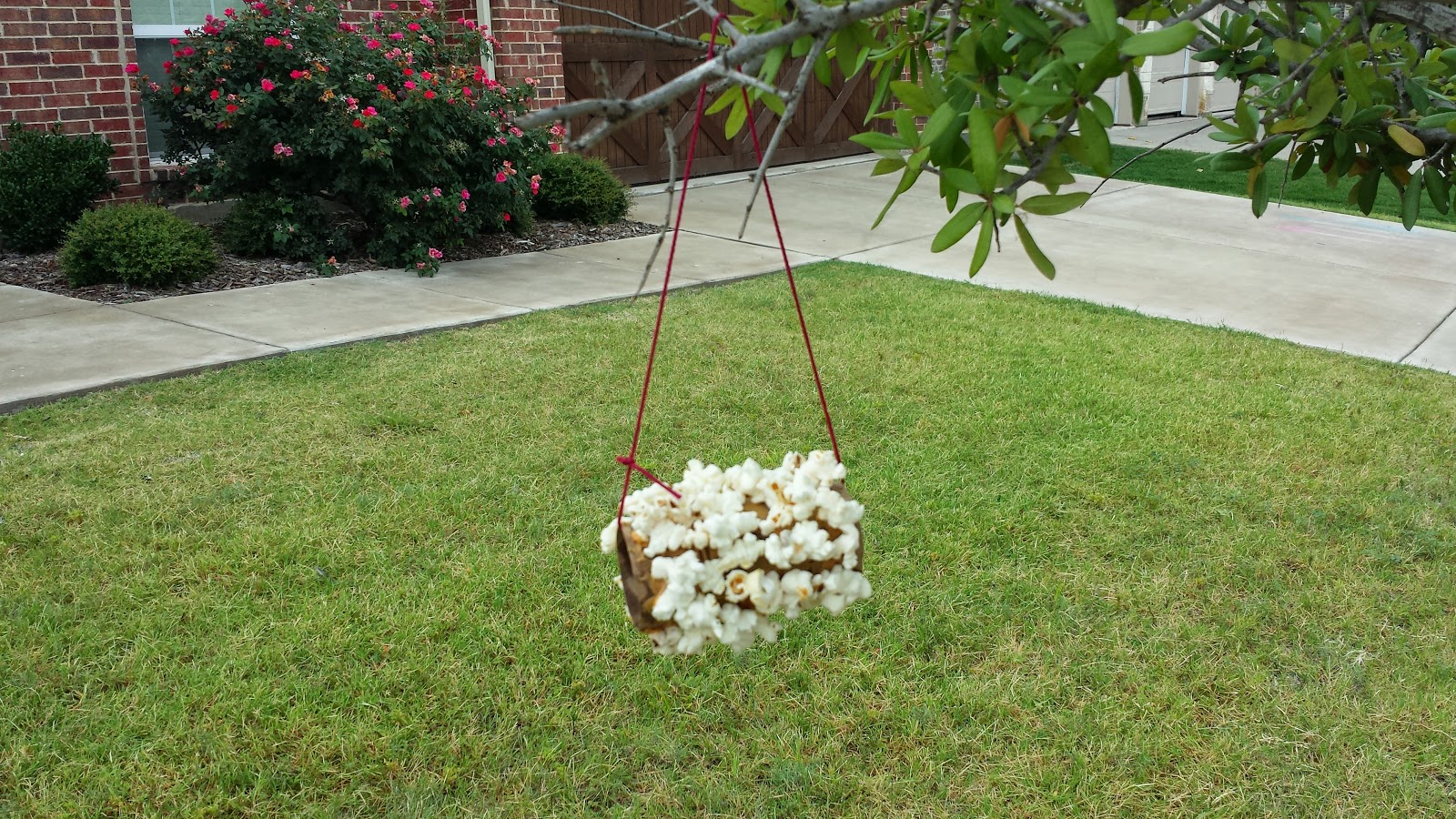 My Fruitful Life Toilet Paper Popcorn Bird Feeder