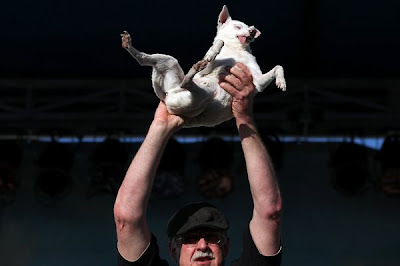 2011 World’s Ugliest Dog Competition pictures