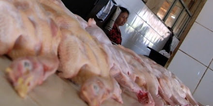 6 kg Kepala Ayam Busuk Diamankan Petugas Kota Bogor
