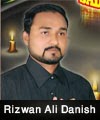 http://www.humaliwalayazadar.com/2015/04/rizwan-ali-danish-nohay-2012-to-2016.html