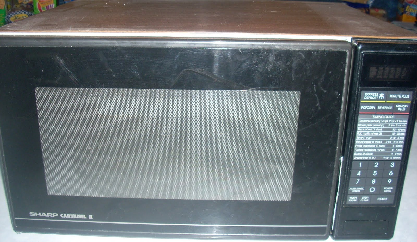 Author 86: Electric Animals and Electric Appliances