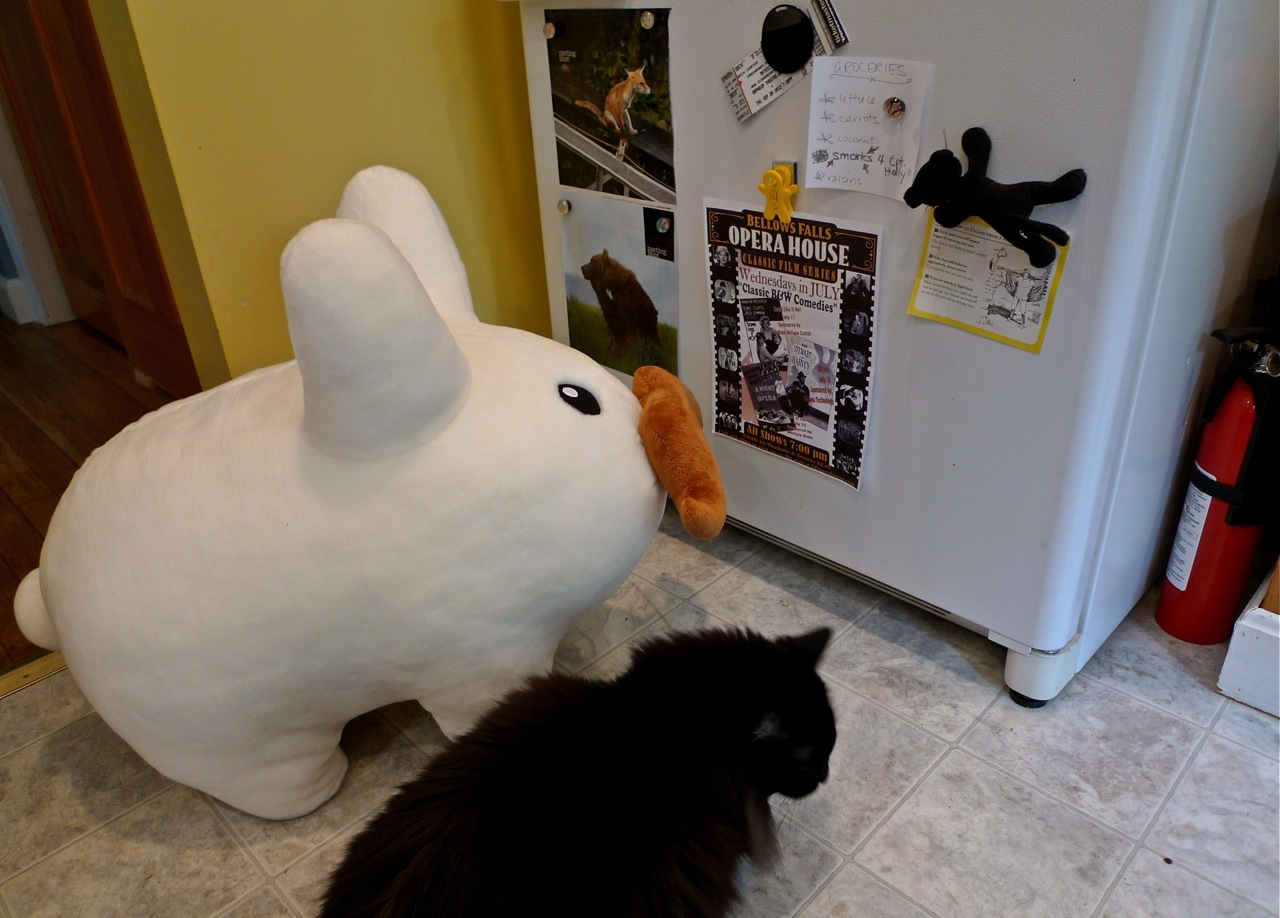 Year of the Labbit Labbit At The Movies